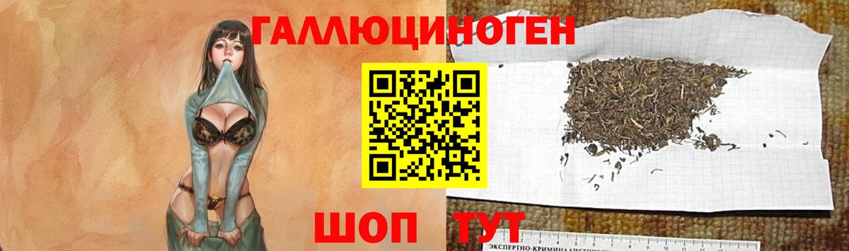 Псилоцибиновые грибы Psilocybe  Псилоцибиновые грибы прущие грибы  Вход с VPN  Усть-Илимск 
